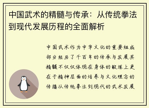 中国武术的精髓与传承：从传统拳法到现代发展历程的全面解析