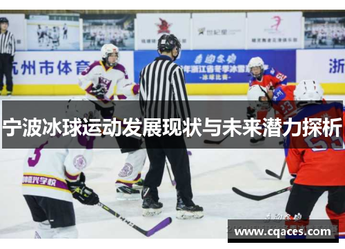 宁波冰球运动发展现状与未来潜力探析